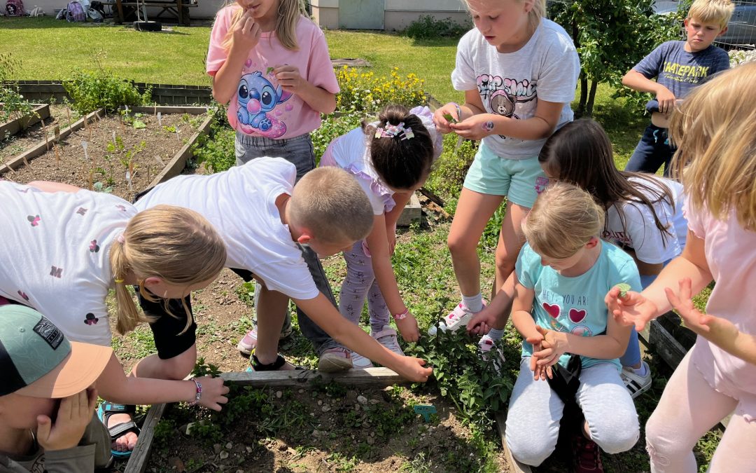Zaključek interesne dejavnosti Vrt in rastline