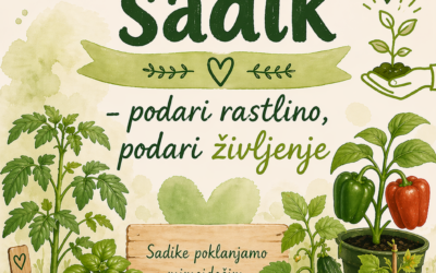 Tržnica sadik
