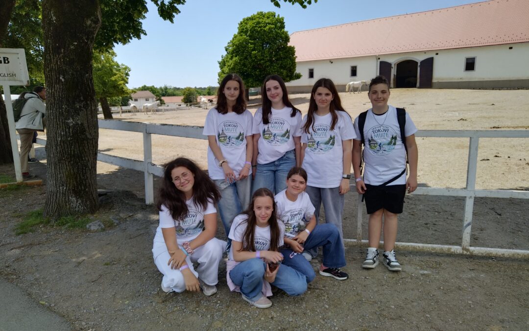 Državno tekmovanje v projektu Turizmu pomaga lastna glava